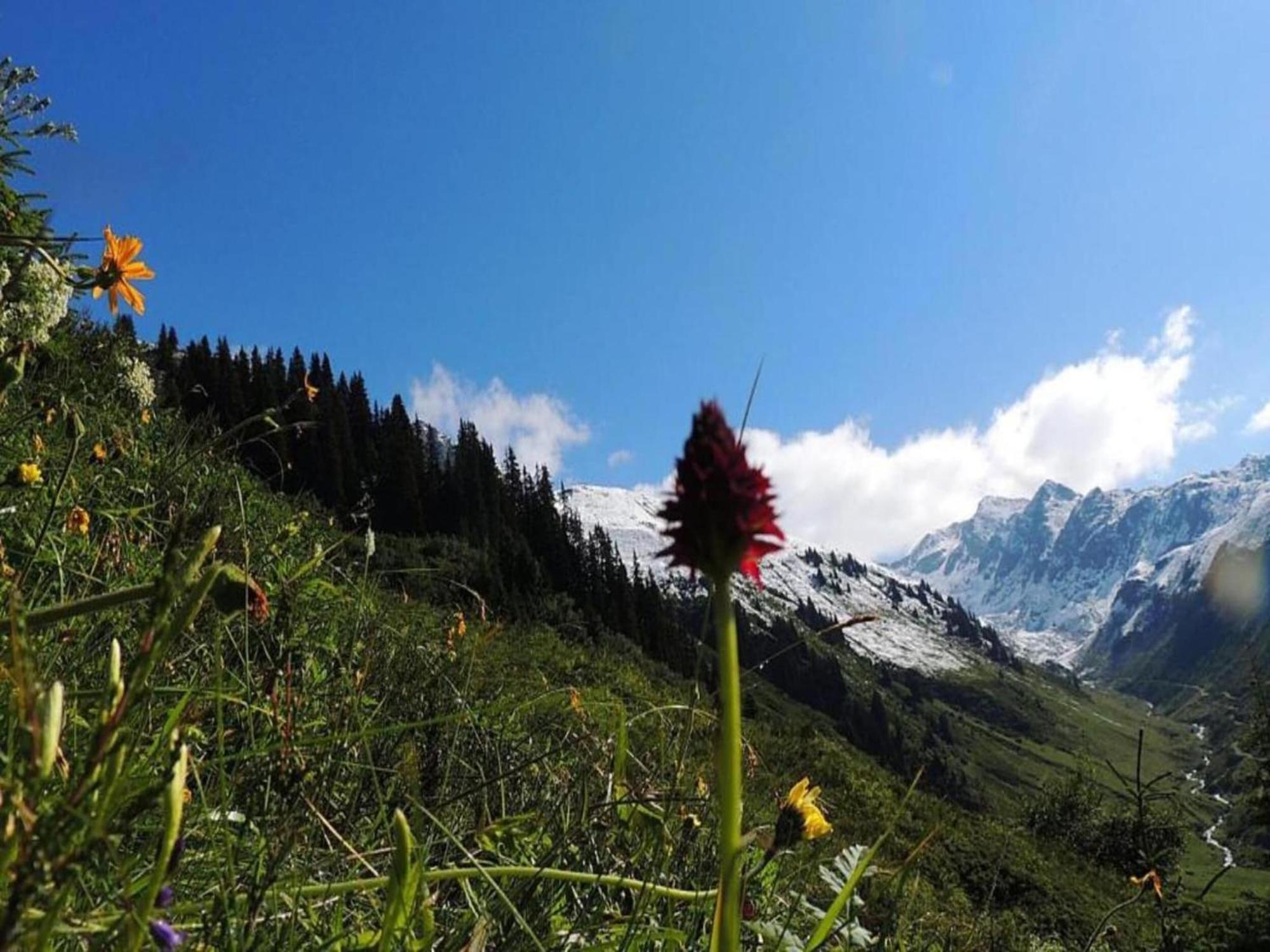Apartment In Montafon Near The Ski Area سانكت غالنكرش المظهر الخارجي الصورة