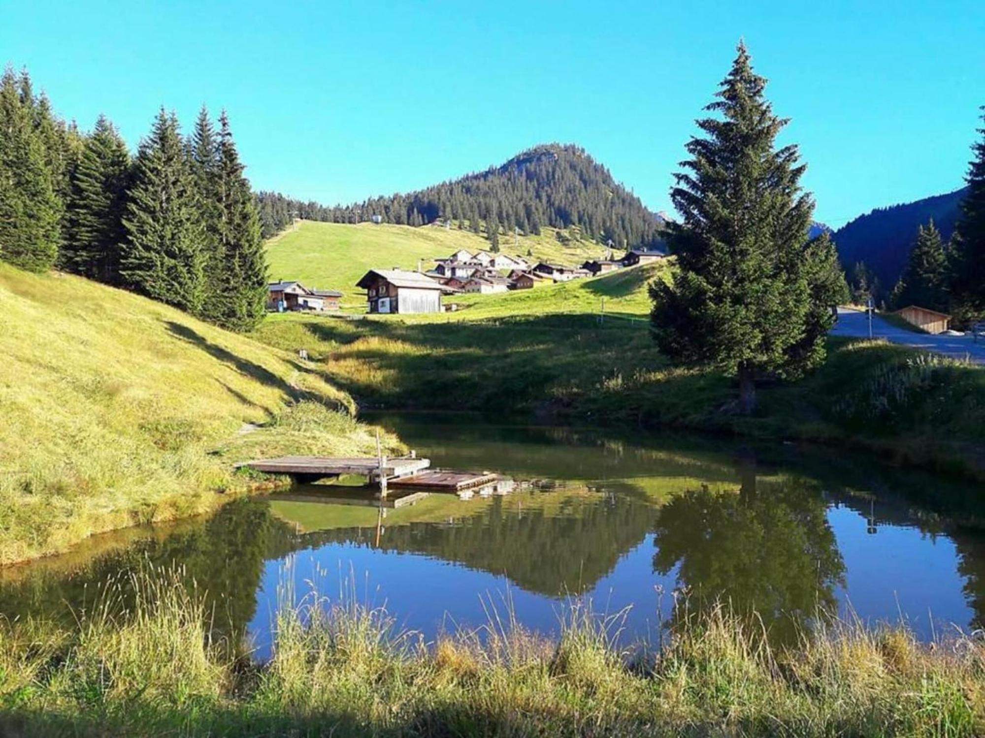 Apartment In Montafon Near The Ski Area سانكت غالنكرش المظهر الخارجي الصورة
